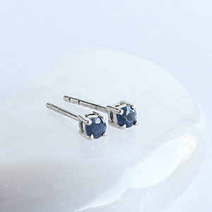 yBKtCf[P5{za Vo[ sAX |Xg^Cv Vv ꗱ  VR Vo[925 LO ԈȊO J Mtg j 11 a NX}X v[g