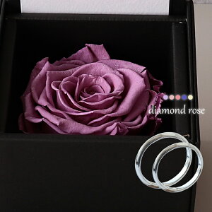 yN[|zzzy󖳗z 7`23 Ή yAO Jbv 2Zbg w }bWO Vo[ EF[u \ʃfUC Vv אg ؚ Mekealoha LO 