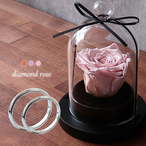 yN[|zzzy󖳗z7`23 Ή yAO Jbv 2Zbg w }bWO Vo[ EF[u \ʃfUC Vv אg ؚ LO w Tv