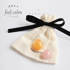 VR ^u p[Xg[   ^u ܂ u 肢 Đ   LO 11 a NX}X v[g