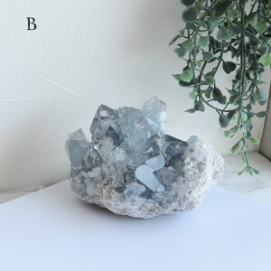 yI _zZX^Cg NX^[ p[Xg[ V Ă񂹂 VR    x     Q LO z CeA 11 a NX}X v