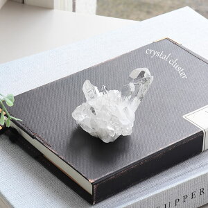 yP5{zyI _zp[Xg[ z  RNV ז i̔ [bJY NX^[ VR   K^ x   Q u CeA LO 