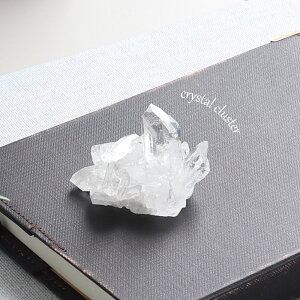 y1P10{zyI _zp[Xg[ z  RNV ז i̔ p[Xg[ [bJY NX^[ VR   K^ x   Q u 