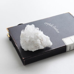 yP5{zyI _zp[Xg[ z  RNV ז i̔ uWY NX^[ VR   K^ x   Q u CeA LO