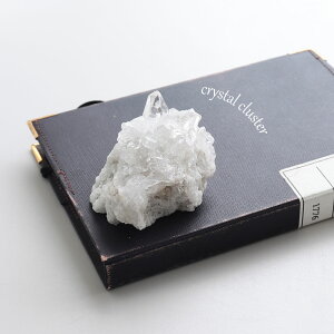 y319:59܂10%OFFzyI _zp[Xg[ z  RNV ώ@y𖡂키 ז i̔ uWY NX^[ VR  K^ x   