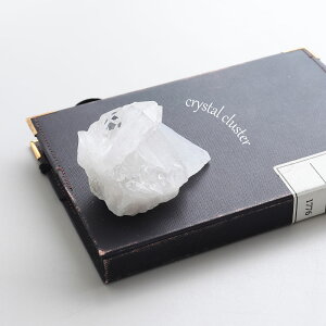 yI _zp[Xg[ z  RNV ώ@y𖡂키 ז i̔ uWY NX^[ VR  K^ x   Q u Ce