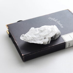 y1P10{zyI _zp[Xg[ z  RNV ώ@y𖡂키 ז i̔ uWY NX^[ VR  K^ x   Q u