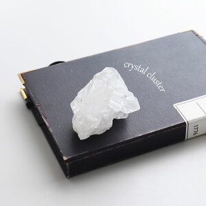 yP5{zyI _zp[Xg[ z  RNV ώ@y𖡂키 ז i̔ uWY NX^[ VR  K^ x   Q u