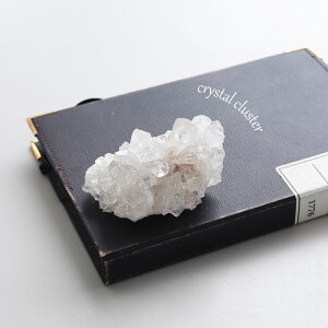 yP5{zyI _zp[Xg[ z  RNV ώ@y𖡂키 ז i̔ uWY NX^[ VR  K^ x   Q u