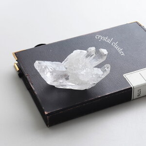 yP5{zyI _zp[Xg[ z  RNV ώ@y𖡂키 ז i̔ uWY NX^[ VR  K^ x   Q u