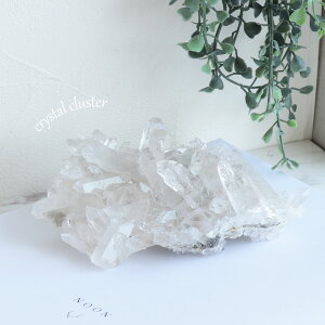 yi̔z [bJ f \EU Y  NX^[ p[Xg[ 򉻗p ̂ЂTCY o  NH[c z RNV ז i̔ VR  K^ x  