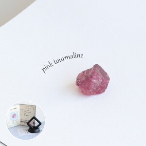 yi̔z p[Xg[ z  RNV sN g}  VR RNVP[Xt Ίӕʏt Ȕp  K^ x   Q u Ce