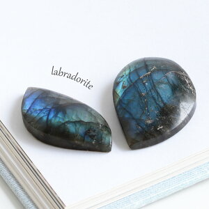 �y���I ��_���z���u���h���C�g �p���[�X�g�[�� �V�R�� �t���[�t�H�[�� ���[�t�^ �h���b�v�^ �u���� 1�� �|���b�V�� �V�R�� ���� �C���e���A �u�� �X�g�[�� �z�� ���� �R���N�V���� �u�� 1�� 