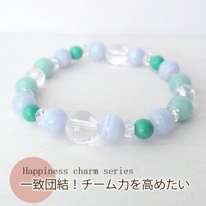 �y��P10�{�z��v�c�� �`�[���͂����߂��� �V�R�� �u���X���b�g �q���p ��l�p �p���[�X�g�[�� �A�N�Z�T���[ �T�C�Y�������� ���� ��� �A�}�]�i�C�g ��] �J �l�Ԋ֌W ���� �j�� ��N ����