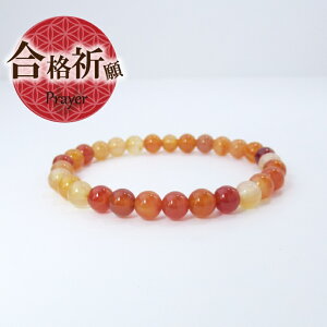 yN[|zzzVR p[Xg[ uXbg ANZT[ TCY  iFObY 󌱐  ObY   J[lA   q N^ 6mm  