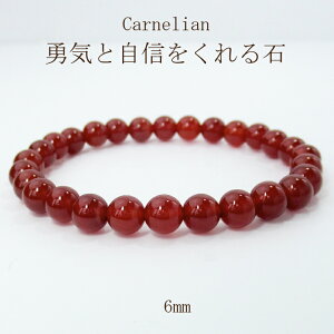 yP5{zVR p[Xg[ uXbg Y  fB[X ANZT[ TCY  iFObY 󌱐  ObY J[lA   q jp N^ 6