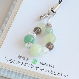 ＼体質を改善したい 心身の活性化を促す／健康祈願 お守り 天然石 パワーストーン ストラップ キーホルダー お守り 携帯 アベンチュリン 癒し 絆 健康運 厄年 厄除け お守り 女性 男性 贈り物 記念日 花以外 2月 誕生日 縁起物 バレンタイン プレゼント