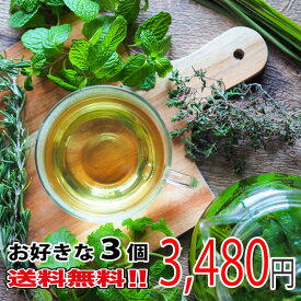 【選べる3個セット】お買得 送料無料 ボタニカル スーパーフード 健康サポート 血糖値を気にする方 活力をサポート 体の健康を意識する方 すっきりとした毎日 健康的なライフスタイル ファイトケミカル 健康 美容 お茶 ティーバッグ ノンカフェイン 無添加 お誕生日