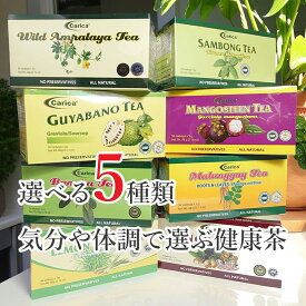 【選べる5個セット】お買得 送料無料 ボタニカル スーパーフード 健康サポート 血糖値を気にする方 活力をサポート 体の健康を意識する方 すっきりとした毎日 健康的なライフスタイル ファイトケミカル 健康 美容 お茶 ティーバッグ ノンカフェイン 無添加 お誕生日