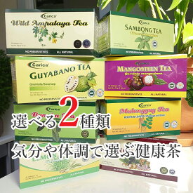 【選べる2個セット】 お買得 送料無料 ボタニカル スーパーフード 健康サポート 血糖値を気にする方 活力をサポート 体の健康を意識する方 すっきりとした毎日 健康的なライフスタイル ファイトケミカル 健康 美容 お茶 ティーバッグ ノンカフェイン 無添加 お誕生日