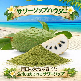 【サワーソップパウダー　170g】 無添加 粉末 フィリピン産 スーパーフード グラビオラ パウダー 健康食品 自然派 サワーソップ粉末 ポリフェノール豊富 健康サポート 美容と健康習慣に