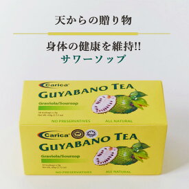 【サワーソップ茶 30包】 フィリピン産 グヤバノ ノンカフェイン 健康茶 免疫サポート 自然派健康ティー 自然の味わい 自然派ハーブティー