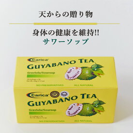 【サワーソップ茶 2g x 30包】送料無料ファイトケミカル スーパーフード 健康 美容 サワーソップ 抗酸化 抗菌 免疫 免疫機能 自律神経 ノンカフェイン 栄養 ガン 骨 血圧 高血圧 お茶 ティーパック 無添加 サワーソップ