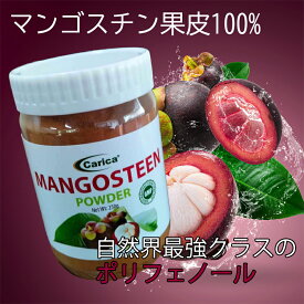 【マンゴスチンパウダー 250g】送料無料 南国フルーツ 果物の女王 無添加 エイジングケア ノンカフェイン ファイトケミカル 美容 健康 サポート スーパーフード 最強 ポリフェノール スムージー ヨーグルト 飲みやすい 微粉末