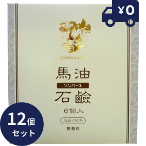 \o[nΌyz 6 12Zbg n ێ I[KjbN N[ q  ь nhPA {fBPA Sg XLPA 