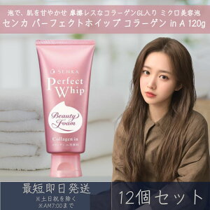 ZJ p[tFNgzCbv R[Q in A 120g 12Zbg t@CgDfC  SENKA   痿 tH[