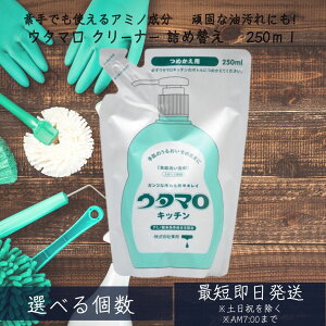 yE^} Lb`z 250ml@M@lߑւ@Zp ₩ȃO[n[u̍  Zp ( Hp lߑւ )
