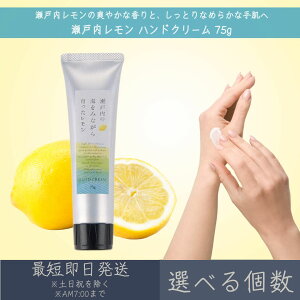 yIׂzy˓z nhN[ 75g  fC[A}Wp fC[A} Mtg v[g { ˓  Yk ێ ΍ nhPA VRR 