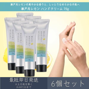 y˓z nhN[ 75g 6Zbg  fC[A}Wp fC[A} Mtg v[g { ˓  Yk ێ ΍ nhPA VRR z 