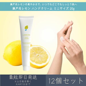 y˓z nhN[ ~jTCY 20g 12Zbg fC[A}Wp fC[A} Mtg v[g { ˓  LEMON VgX Yk ێ ΍ n