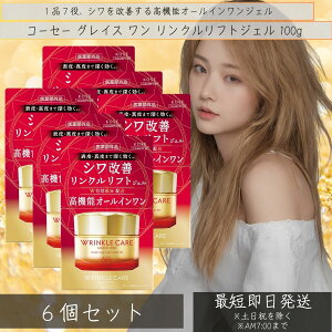 OCX  NPA CXgyA WFN[ EX 100g 6Zbg { ϕi et ێ t ϐ pbN N[ I[C