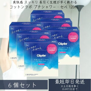 Rbg{ v`V[EZy 120mL×6{×6Zbg v`V[Zy ĝărf S ( rf )