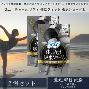 ユニ・チャーム ソフィ 体にフィット 吸水ショ−ツ L 2個セット サニタリーショーツ 吸水型 吸収 ナプキン不要 吸水パンツ ショーツ 尿漏れ 消臭 スポーツ 昼用