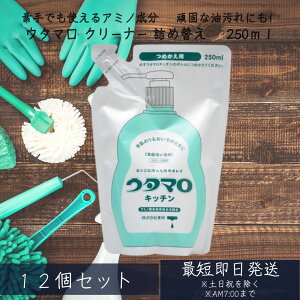 yE^} Lb`z 250ml 12Zbg M@lߑւ@Zp ₩ȃO[n[u̍  Zp ( Hp lߑւ )