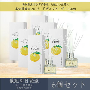 ymYYUZUz[hfBt[U[ 120ml 6Zbg  fC[A}Wp fC[A} Mtg v[g { 䂸 Mq k [tOX bNX CeA A