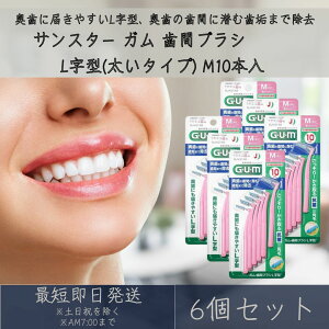 サンスター GUM ガム L字型 太いタイプ Mサイズ 10本入 歯間ブラシ 6個セット オーラルケアグッズ