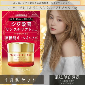 OCX  NPA CXgyA WFN[ EX 100g 48Zbg { ϕi et ێ t ϐ pbN N[ I[C