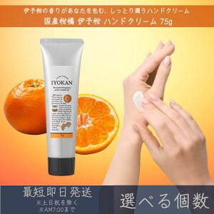 yIׂzyYknhN[z ɗ\ nhN[ 75g  fC[A}Wp fC[A} Mtg v[g { 悩 k ێ ΍ nhPA 