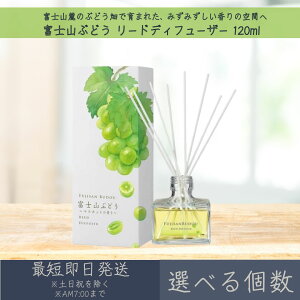 yIׂzyxmRԂǂz[hfBt[U[ 120ml  fC[A}Wp fC[A} Mtg v[g { xmR Ԃǂ [tOX bNX Ce