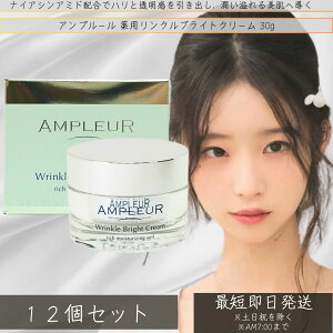 AMPLEUR(Av[) pNuCgN[ 30g ×12Zbg  nChLm Z~h R[Q e ێ {   v[g Mtg hN^[YRX