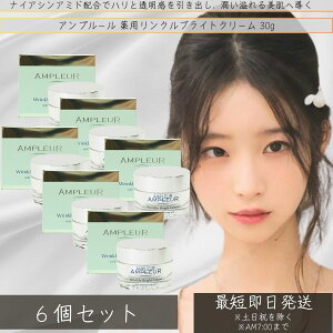 AMPLEUR(Av[) pNuCgN[ 30g ×6Zbg  nChLm Z~h R[Q e ێ {   v[g Mtg hN^[YRX