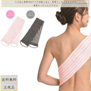 p XbL Gs ^I@Ԗ   Gs^I o[Vu w fRe  AJX C {fBPA }CNt@Co[ ^I yXbLGs^Iz