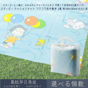 Xk[s[ NbV}bg tt󒆎U 2 180x180cm 4~5lp  ATqm SNOOPY PEANUTS  唻 W[ AEghA  sNjbN Lv Ԍ ^ LN^[ ٓ