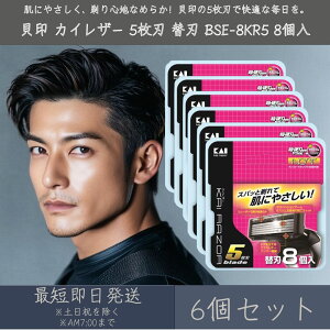 L JCU[ 5n ֐n BSE-8KR5 8 6Zbg | KAI RAZOR 䓁 J~\ Ђ E VF[rO YVFCo[ ւnZbg VF[o[ Y