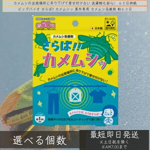 rbOoCIOp JV 60  񂹕tȂ JV΍ JV ݂艺    悯 x_     ގ