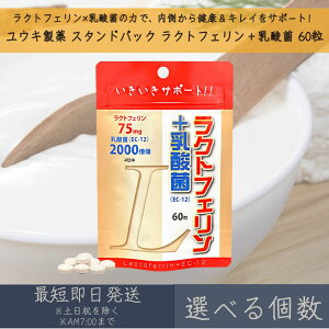 yIׂzyELz X^hpbN NgtF { _ 60 b T|[g  e Nێ Tv Tvg EC-12 h{⏕Hi Y  